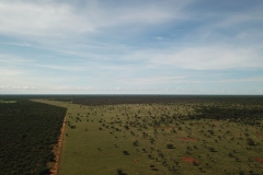 DCIM\100MEDIA\DJI_0020.JPG