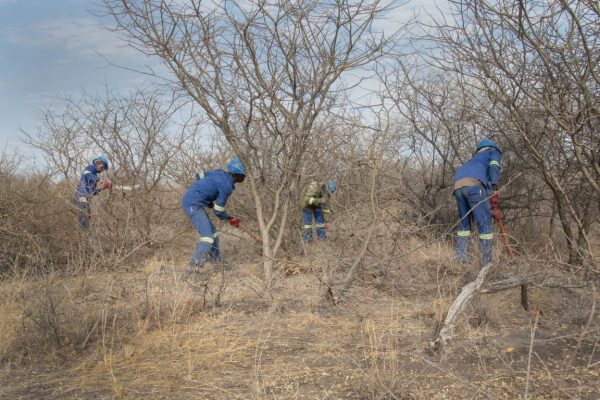 Namibia Biomass industry Group (N-BiG)