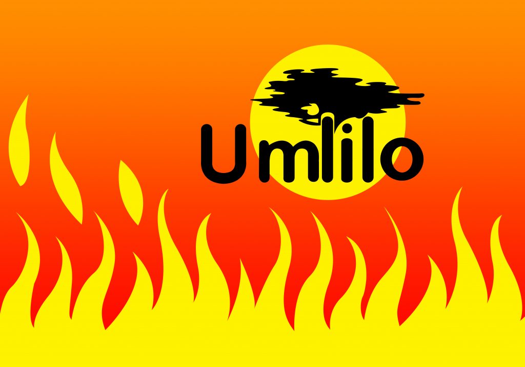 Namibia Biomass industry Group (N-BiG)