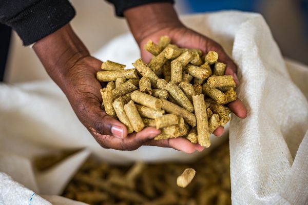 Namibia Biomass industry Group (N-BiG)