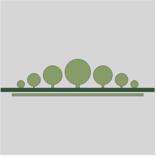 Namibia Biomass industry Group (N-BiG)