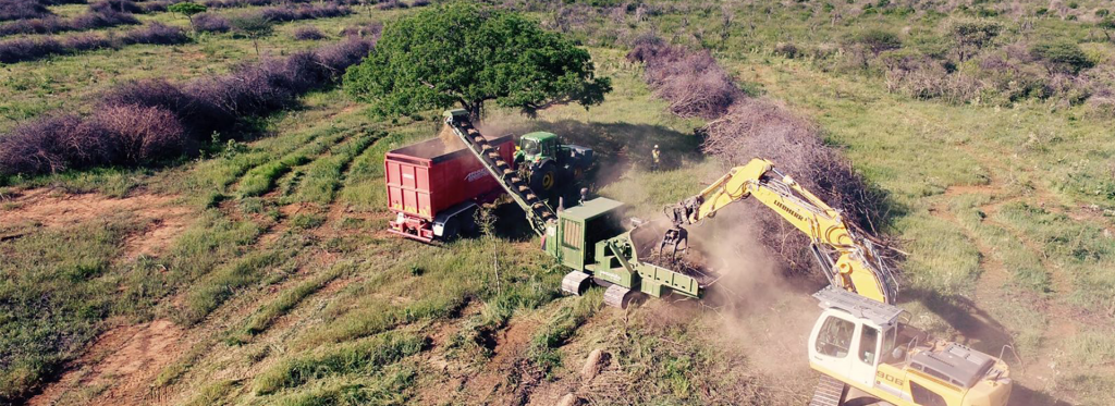 Namibia Biomass industry Group (N-BiG)