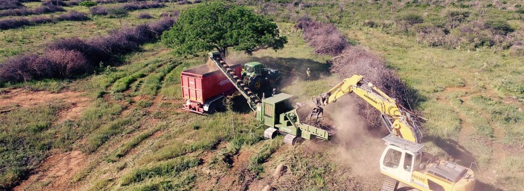 Namibia Biomass industry Group (N-BiG)