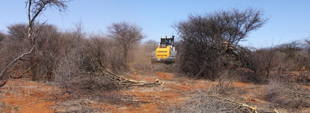 Namibia Biomass industry Group (N-BiG)