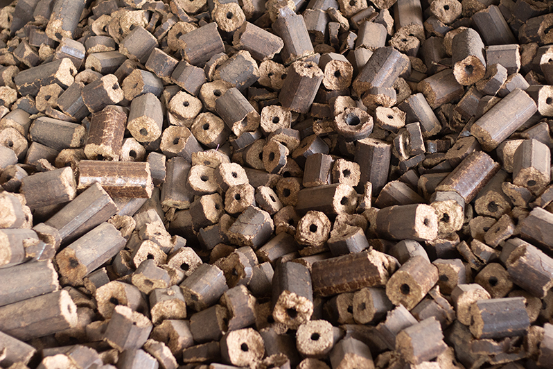 Namibia Biomass industry Group (N-BiG)