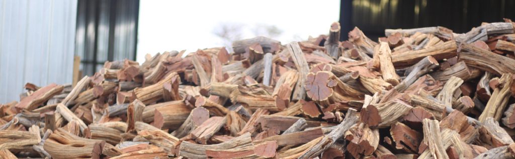 Namibia Biomass industry Group (N-BiG)