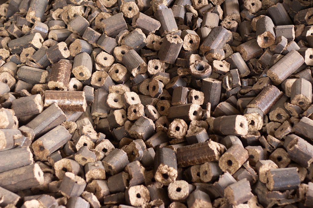 Namibia Biomass industry Group (N-BiG)