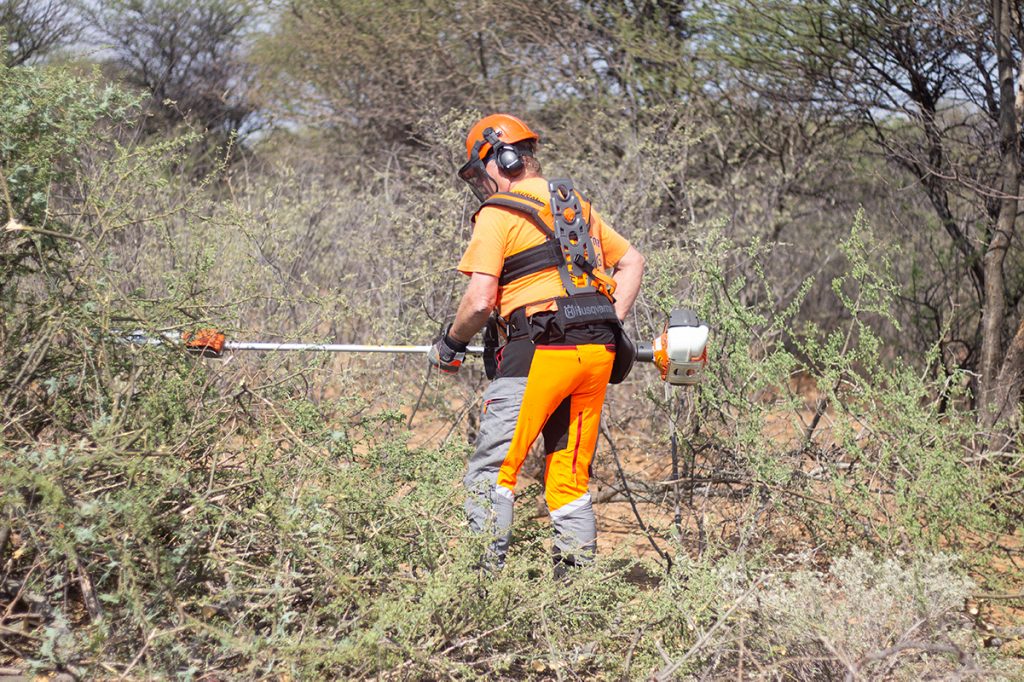 Namibia Biomass industry Group (N-BiG)