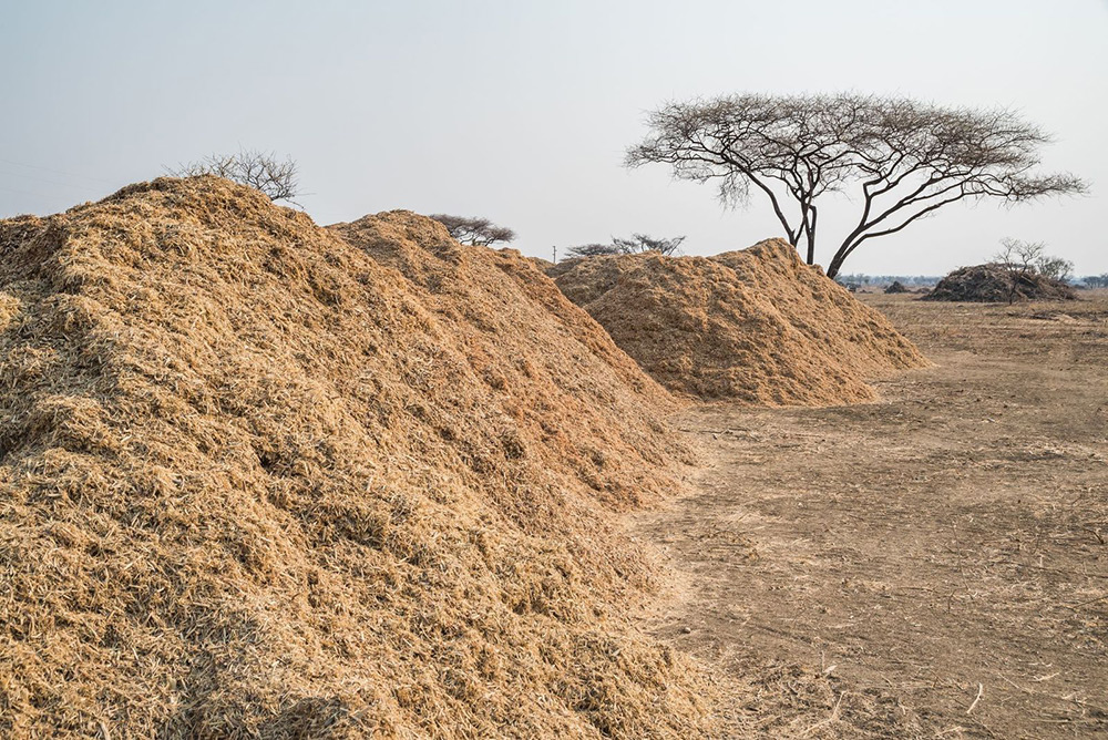 Namibia Biomass industry Group (N-BiG)