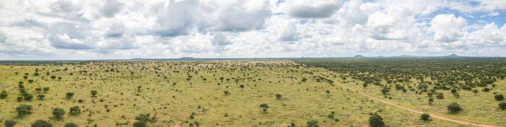 Namibia Biomass industry Group (N-BiG)