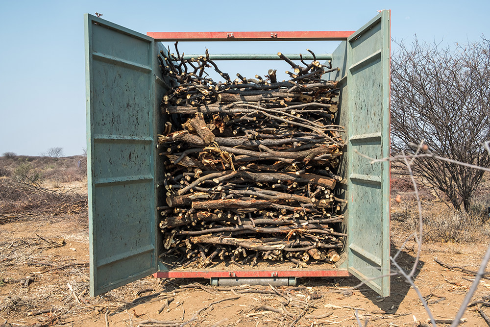 Namibia Biomass industry Group (N-BiG)