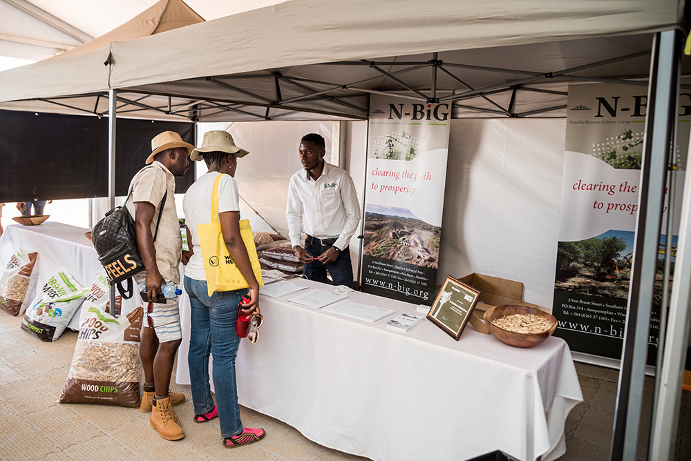 Namibia Biomass industry Group (N-BiG)
