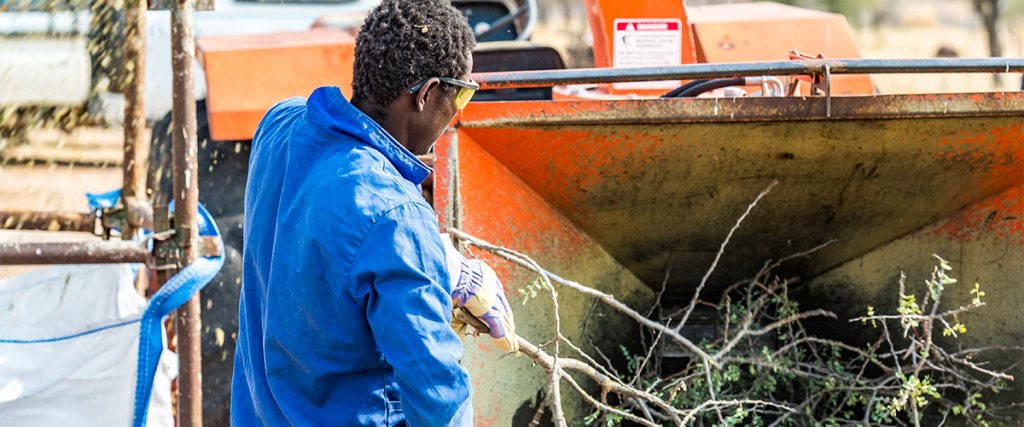 Namibia Biomass industry Group (N-BiG)