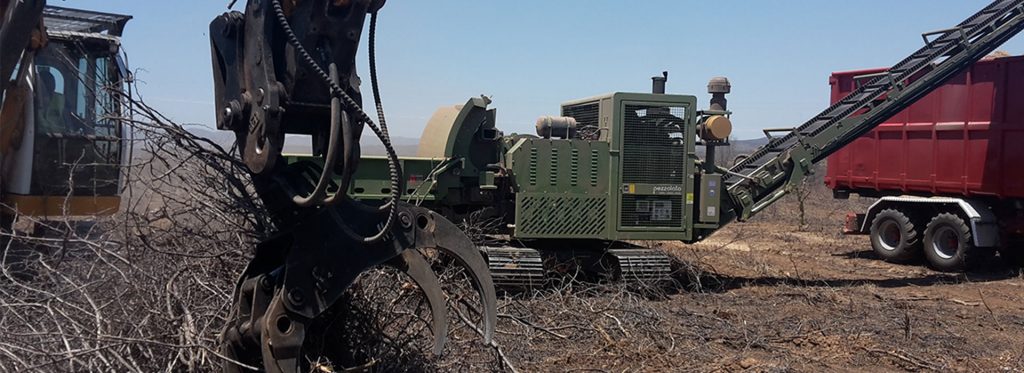 Namibia Biomass industry Group (N-BiG)