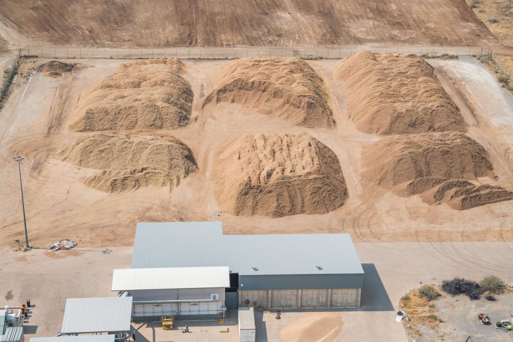 Namibia Biomass industry Group (N-BiG)