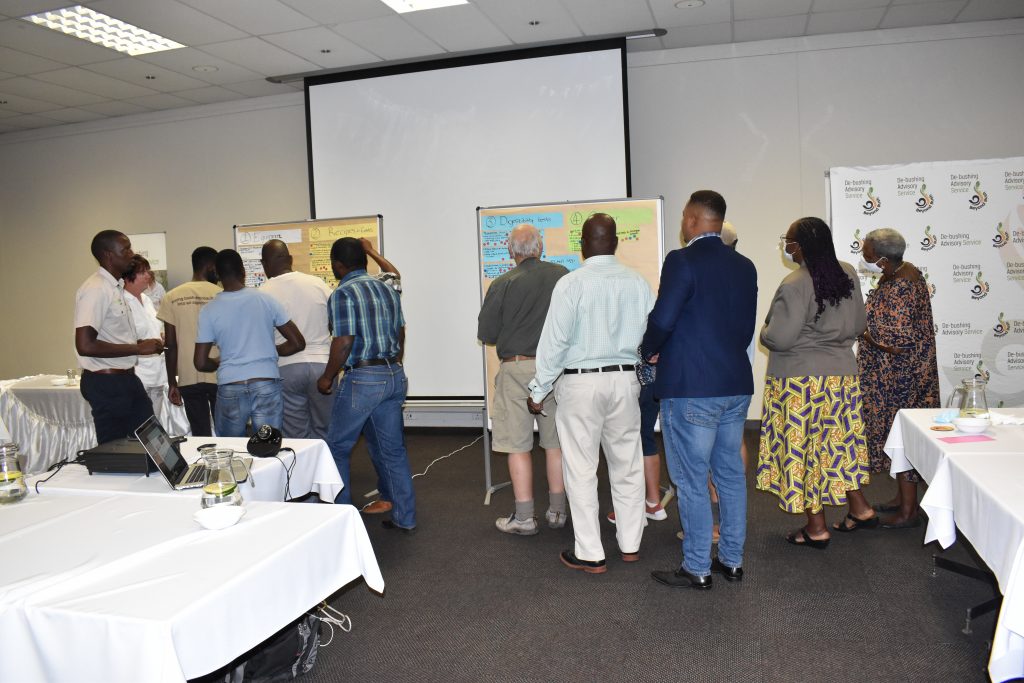 Namibia Biomass industry Group (N-BiG)