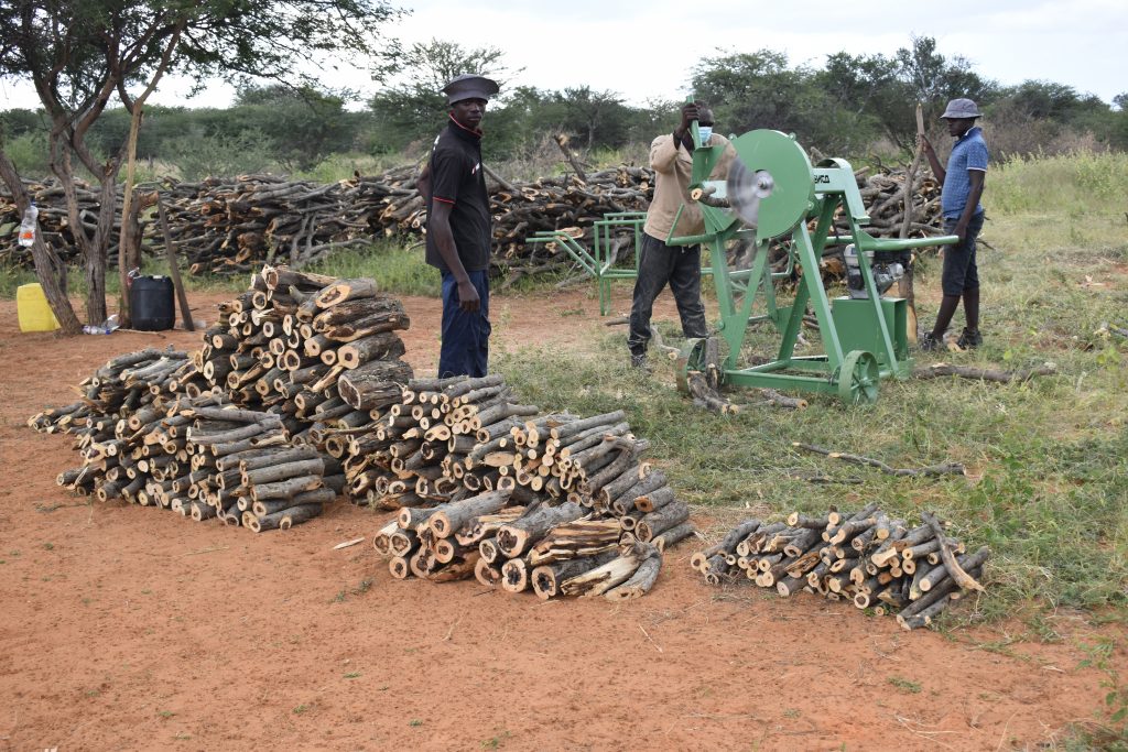 Namibia Biomass industry Group (N-BiG)