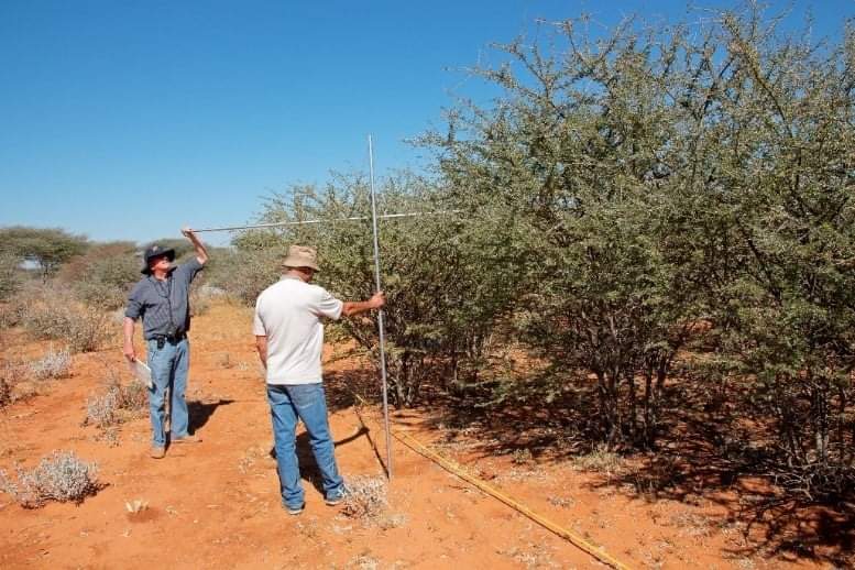 Namibia Biomass industry Group (N-BiG)