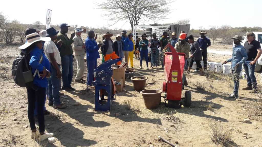 Namibia Biomass industry Group (N-BiG)