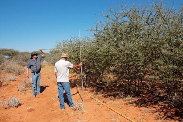 Namibia Biomass industry Group (N-BiG)