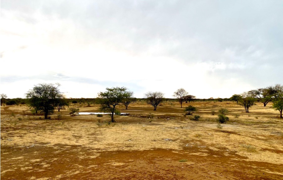 A watering hole in an area where bush control was used on the Otjikoto Nature Reserve. 