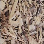 Namibia Biomass industry Group (N-BiG)