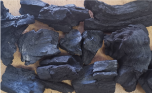 Namibia Biomass industry Group (N-BiG)