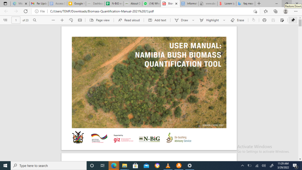 Namibia Biomass industry Group (N-BiG)