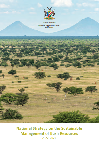 Namibia Biomass industry Group (N-BiG)